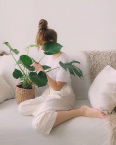 Monstera Watering Schedule