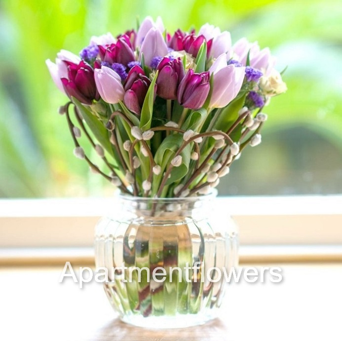 tulip bulbs bloomed in water