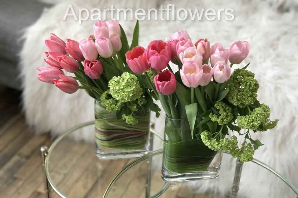 tulips in glass vases + tips