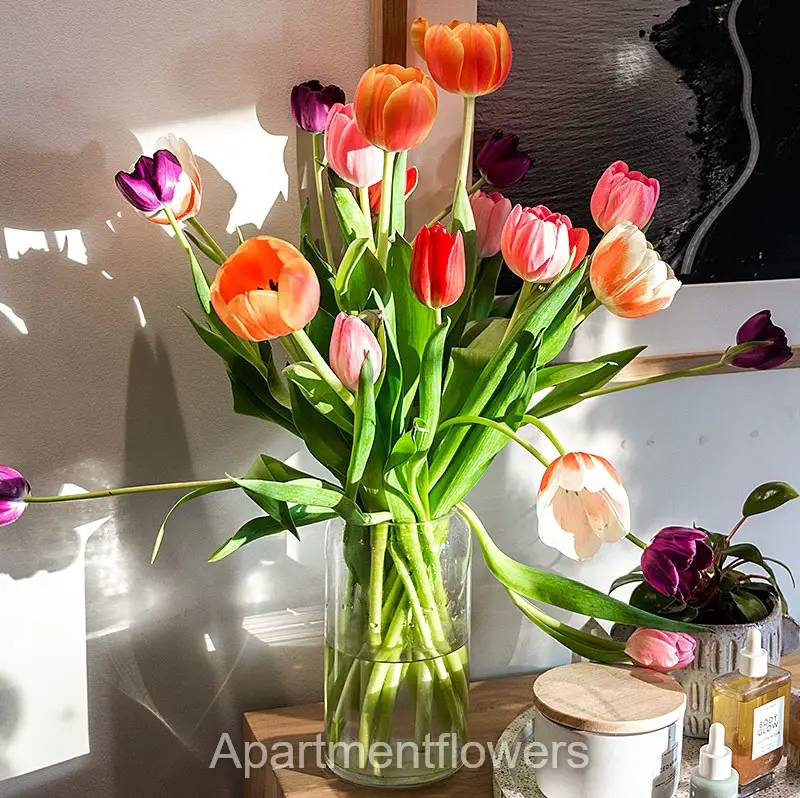 tulips in glass vases guide and tips 