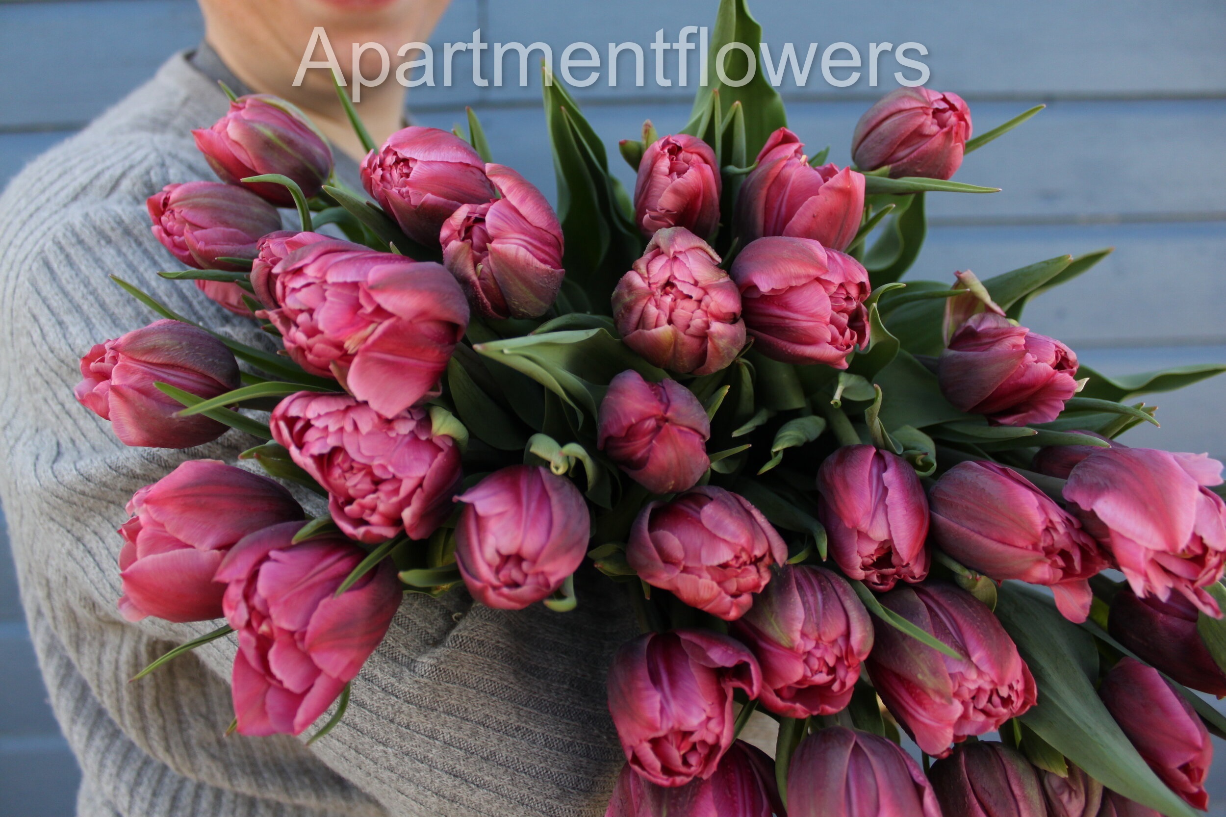 How To Multiply Tulip Bulbs Do Tulips Multiply True Guide 