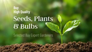 buy Seeds, Plants, bulbs