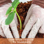 how to use coco coir for houseplants