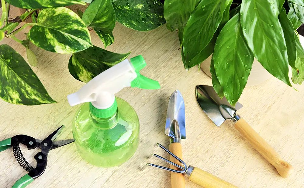 houseplant tools