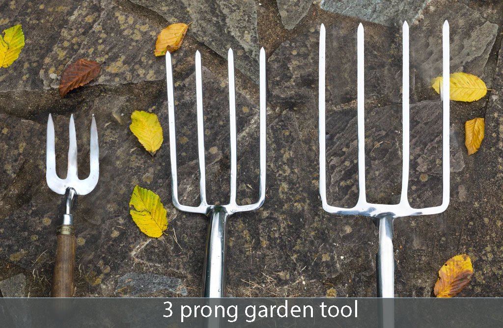 3 prong garden tool